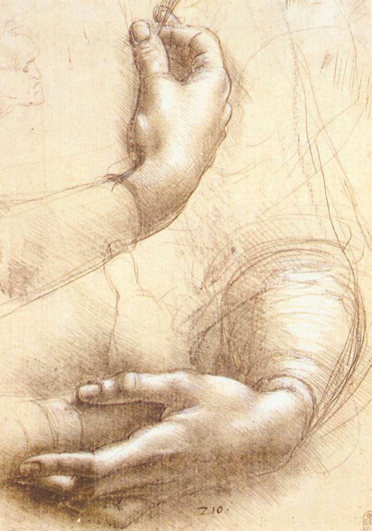 Da Vinci Drawings Of Hands Leonardo Da Vinci S Study Of Hands