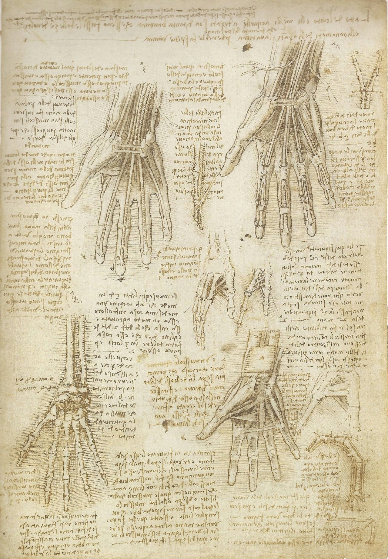 Da Vinci Drawings Of Hands Pin by Matthew Phoenix On Da Vinci Pinterest Drawings