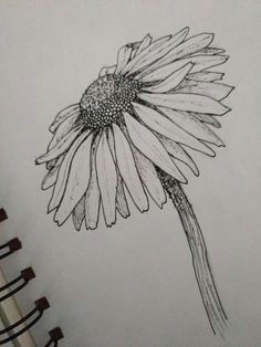 Daisy Drawing Tumblr 66 Best Pen Ink Drawings Images In 2019 Flower Designs Drawings