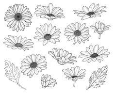 Daisy Drawing Tumblr Resultado De Imagem Para Daisy Flower Drawing Tattoos Pinterest