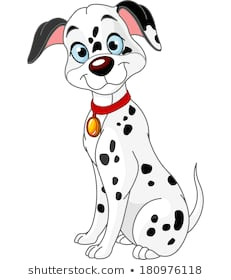 Dalmatian Dog Drawing 500 Dalmatian Cartoon Pictures Royalty Free Images Stock Photos