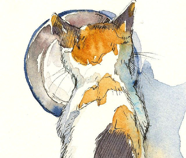 Detailed Drawing Of A Cat Scoutie with Milk Cu In 2019 Aqua Pinterest Watercolor Cat