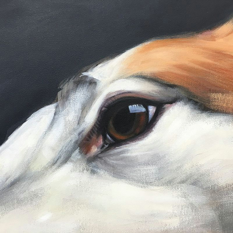 Detailed Drawing Of A Dog Super Close Up Eye Detail Of Commissioned Dog Portrait Roo