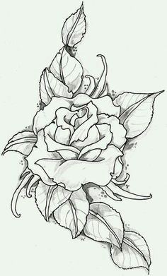 Detailed Drawing Of A Rose Rose Outline Google Search Outlines Drawings Art Flowers