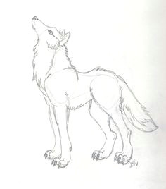 Detailed Drawing Of A Wolf 180 Best Wolf Drawings Images Drawing Techniques Drawing