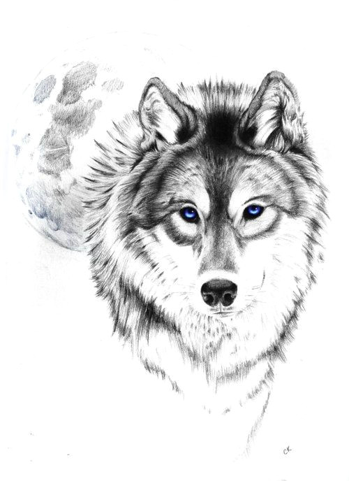 Detailed Drawing Of A Wolf Wolf Tattoo Tumblr Love This Wolf and Moon the Eyes though I