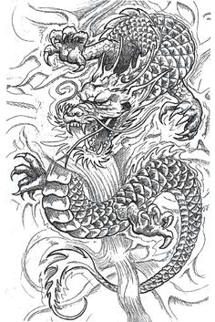 Detailed Drawings Of Dragons 101 Best Dragons Images Drawings Dragon Art Chinese Dragon Tattoos