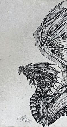 Detailed Drawings Of Dragons 675 Best Dragons In Black and White Mostly Images Dragon