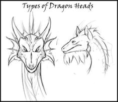 Directed Drawing Dragons 287 Best How to Draw Dragons and Other Fantastical Creatures Images