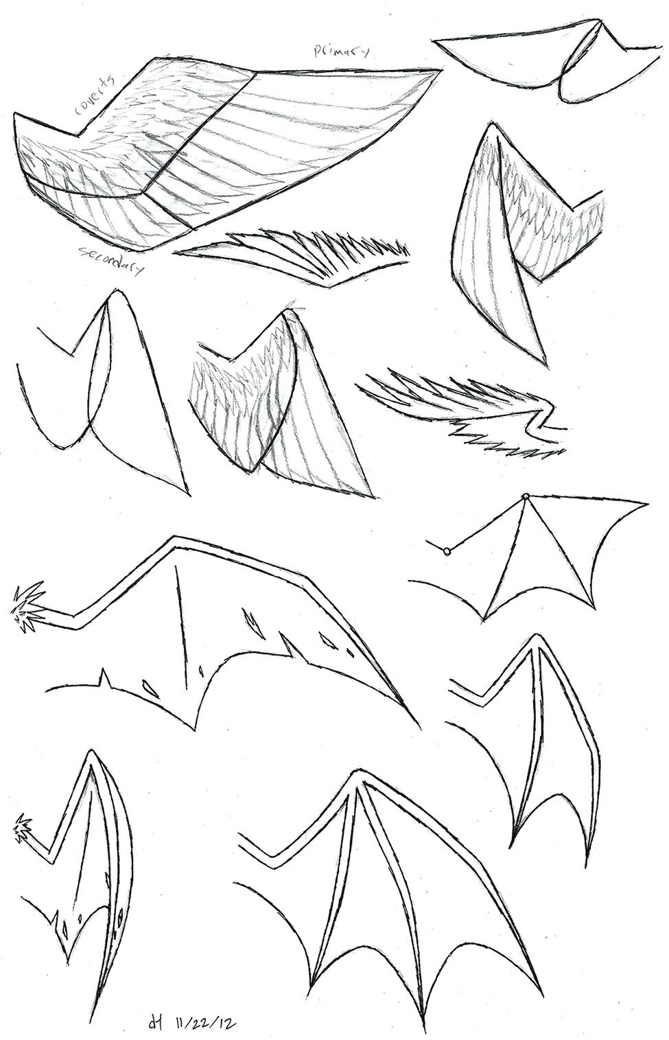 Directed Drawing Dragons How to Draw Folded Dragon Wings Wing Study by Vibrantechoes Draw