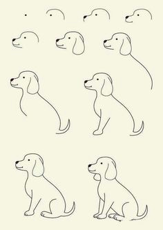 Directed Drawing Of A Dog Learn How to Draw A Dog with Our Free and Fun Activity Sheets Your