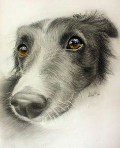 Dog Drawing Artist Uk 358 Best Dog Art Dog Illustration Images Drawings Dog Art Dog