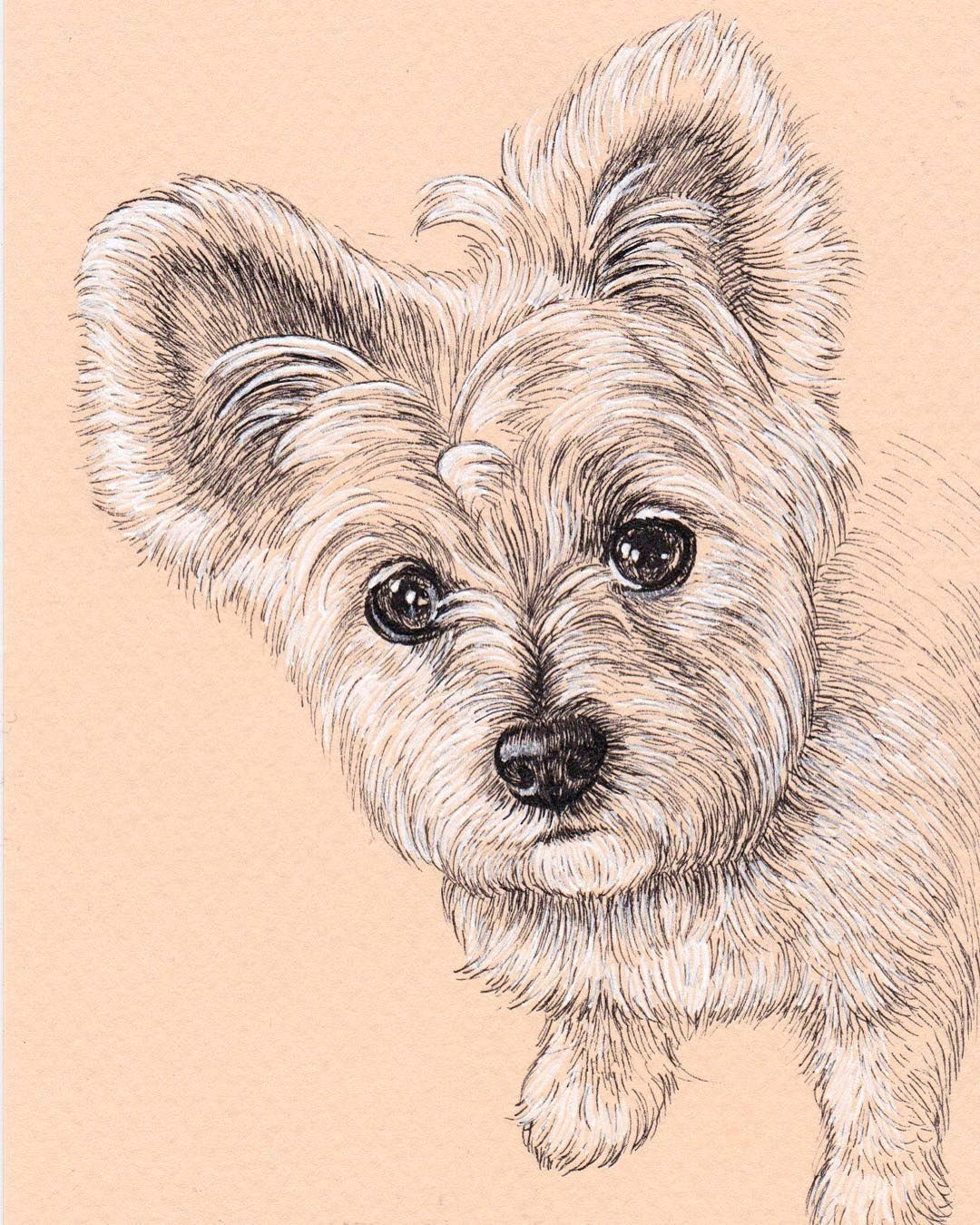 Dog Drawing Artists Lisa Creative Lab Custom Pet Portrait From Photo Dog Portrait