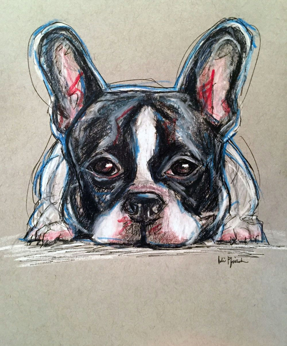 Dog Drawing Commission Johnny the French Bulldog Pet Portrait Sketch Pencil Colored