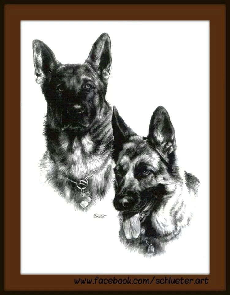 Dog Drawing Commission Pin Od Dawid Na Psy Pinterest Pet Portraits Pets I Dogs