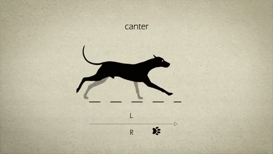 Dog Drawing Gif Gif87a Animation Ref Pinterest Dog Walking Animation and Animal