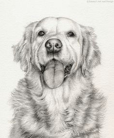 Dog Drawing Golden Retriever 775 Best Golden Retriever Art Images Drawings Of Dogs Golden