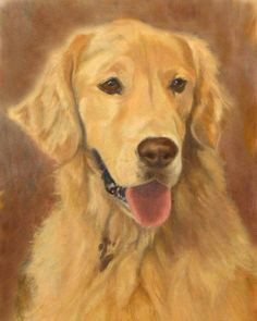 Dog Drawing Golden Retriever 947 Best Golden Retriever Art Images In 2019 Dog Art Dog