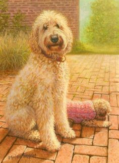 Dog Drawing Goldendoodle 114 Best Golden Doodle Clipart Images In 2019 Animal Drawings