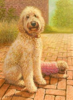 Dog Drawing Goldendoodle 114 Best Golden Doodle Clipart Images In 2019 Animal Drawings