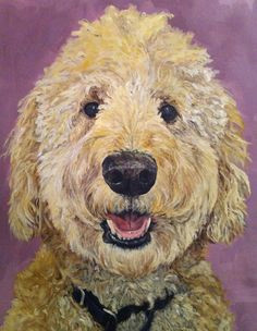 Dog Drawing Goldendoodle 114 Best Golden Doodle Clipart Images In 2019 Animal Drawings