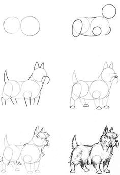 Dog Drawing Hd Images 491 Best Draw Dogs Images In 2019 Drawings Animal Drawings Draw