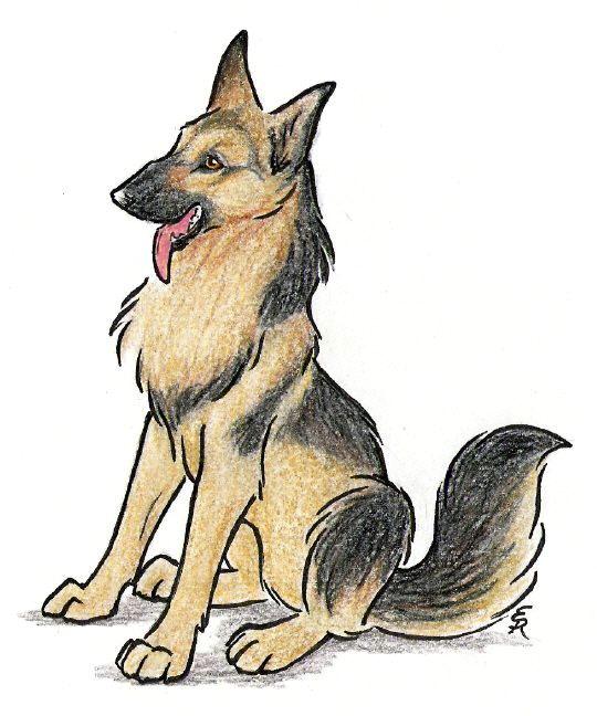 Dog Drawing Net Happy German Shepherd by Wildspiritwolf On Deviantart Art