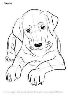 Dog Drawing Realistic Easy Dog Drawings In Pencil Easy for Kids Sketch Coloring Page Drawing