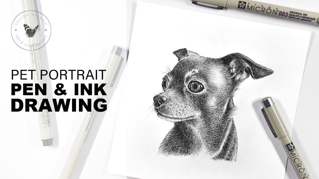 Dog Drawing Time Lapse Chihuahua Pet Portrait Pen Ink Drawing Time Lapse Youtube