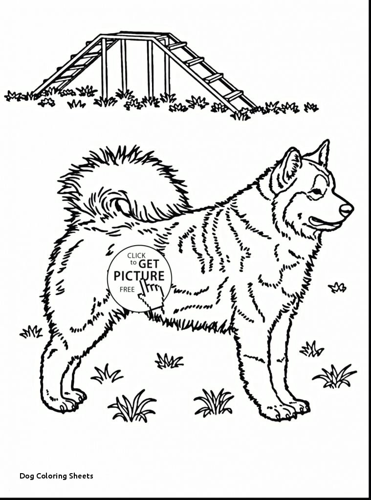 Dog Drawing to Color Dog Coloring Sheets Print Color Pages Design Printable Coloring 0d