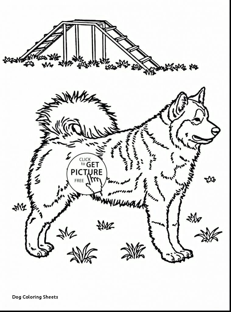 Dog Drawing to Color Dog Coloring Sheets Print Color Pages Design Printable Coloring 0d
