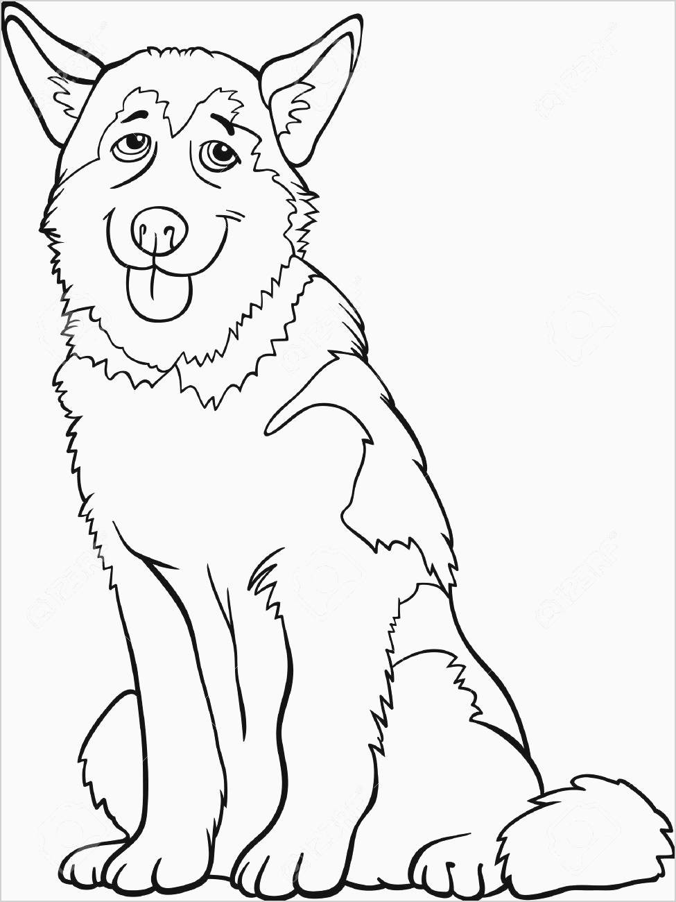 Dog Drawing to Print A Free Collection Of 13 Lovely Coloring Pages to Print for Free