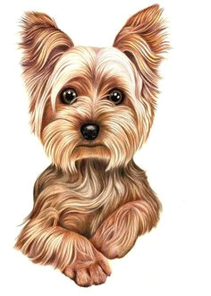 Dog Drawing Transparent 90 Best Pencil Drawings Puppies Images Dog Art Drawings Of Dogs