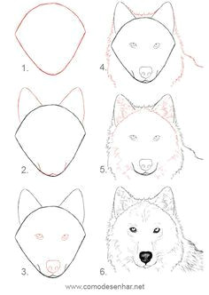 Dog Drawing Trick 441 Best Draw Animals Images In 2019 Animal Drawings Draw Animals