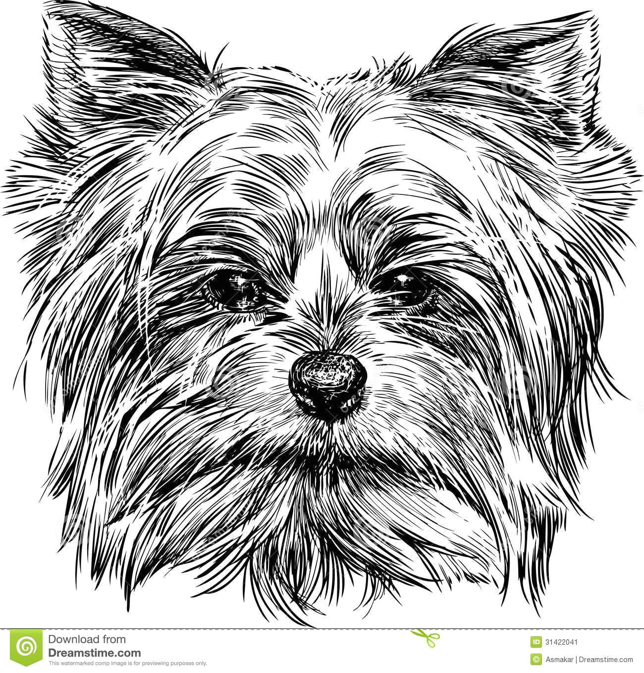 Dog Drawing Yorkie Pin by Michelle Ross On Sewing Patterns Pinterest Sketches Dog