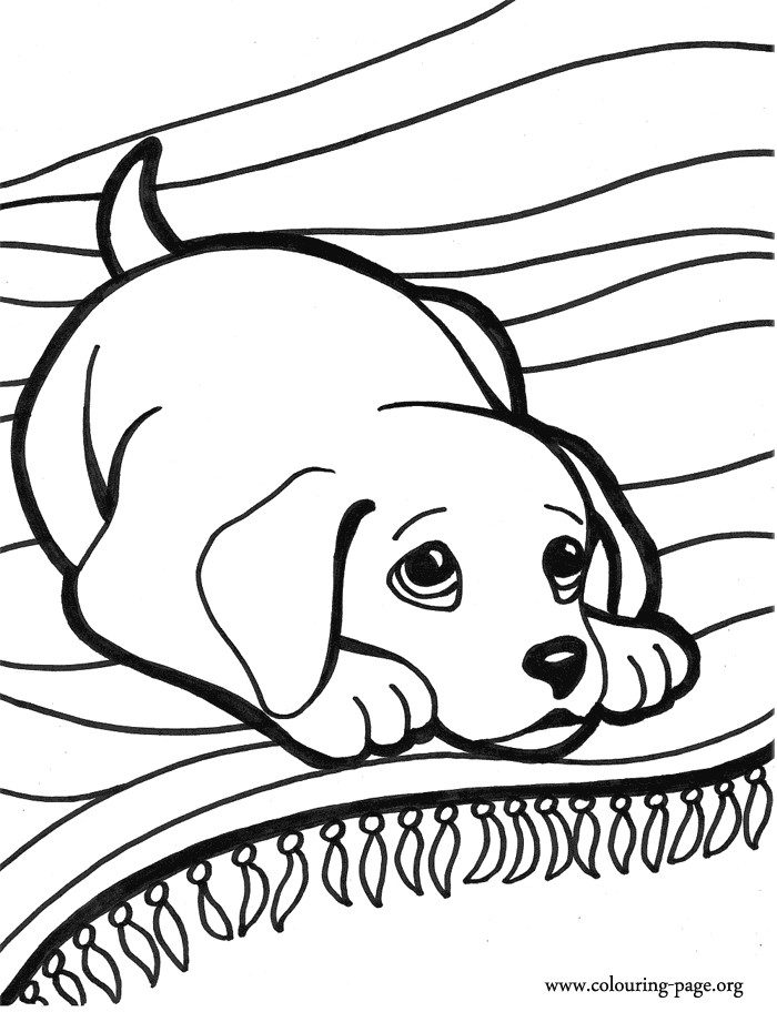 Dog Lying Down Drawing Coloring Pictures Of Puppys to Print and Color Look at This Cute