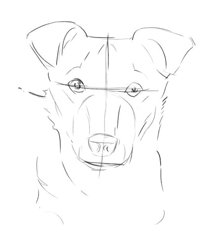 Dog S Mouth Drawing How to Draw A Dog From A Photograph