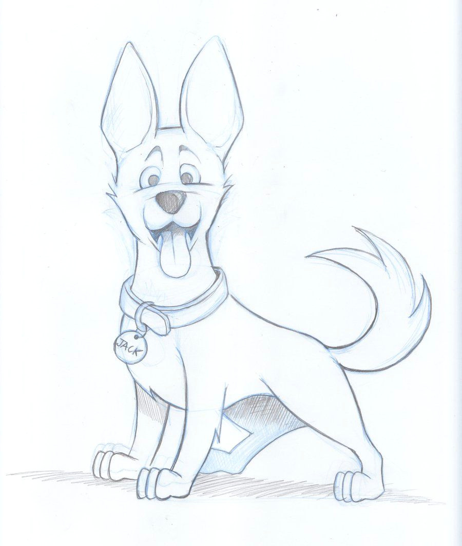 Dog S Tail Drawing Drawings Of Dogs Kelpie Dog Sketch by Timmcfarlin On Deviantart