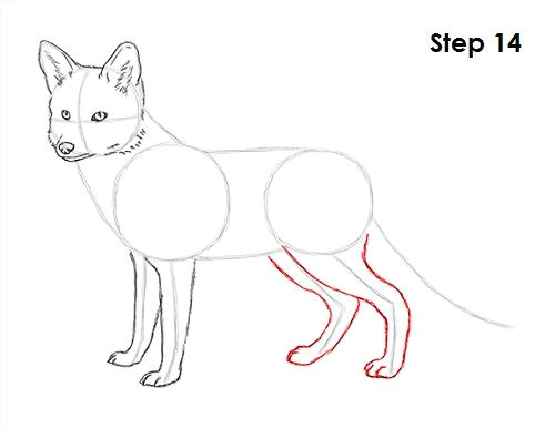 Dog S Tail Drawing Red Fox Drawing 14 My Drawing Chalenge In 2019 Pinterest