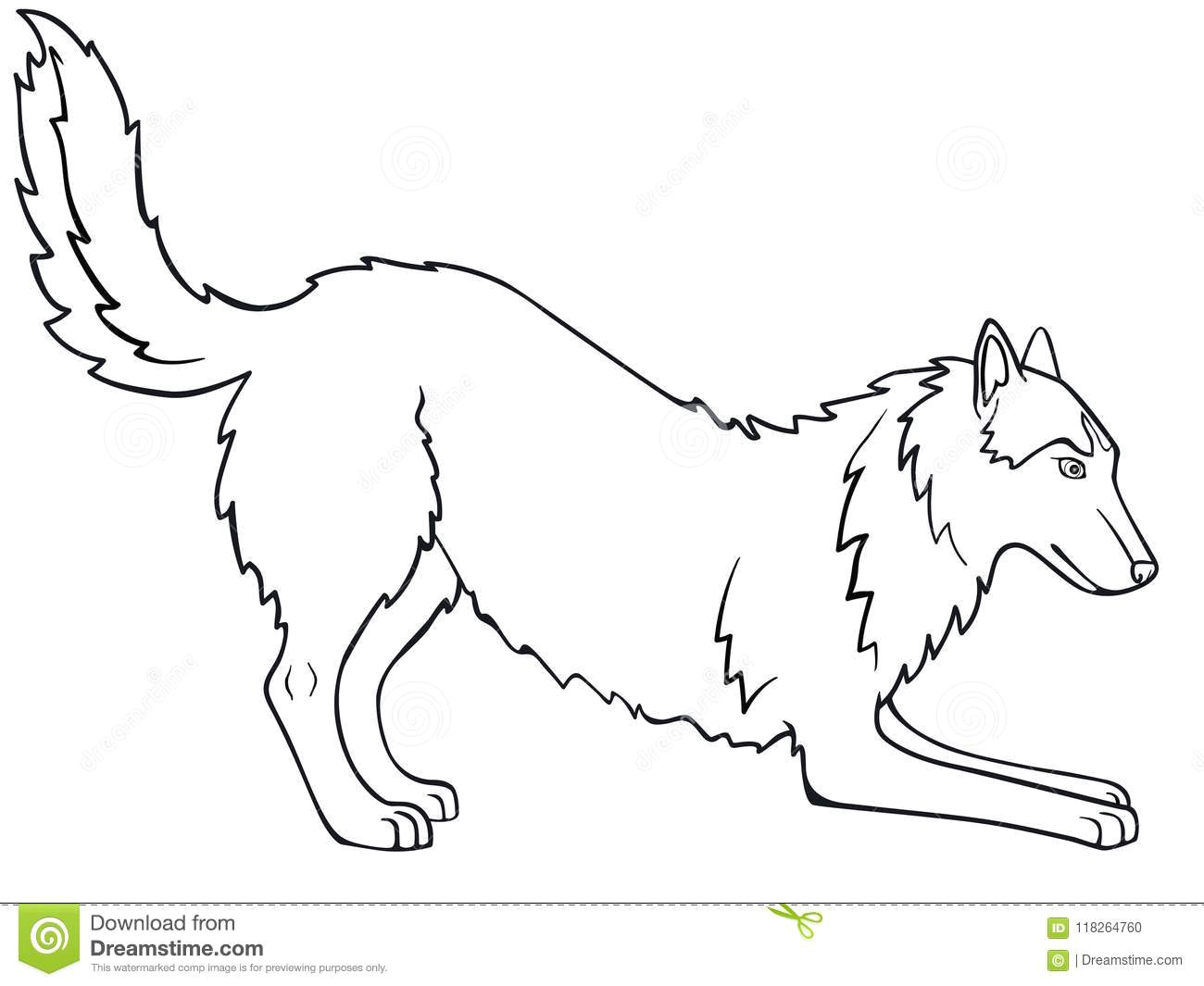 Dog S Tail Drawing Siberian Husky Alaskan Malamute the Dog is Playing Line Drawing