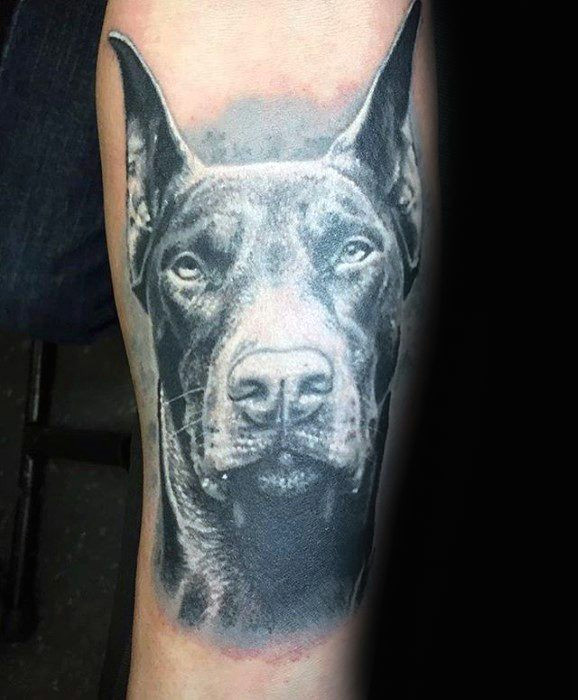 Dog Tattoo Drawing 60 Dobermann Tattoo Designs Fur Manner Hund Tinte Ideen Tattoo