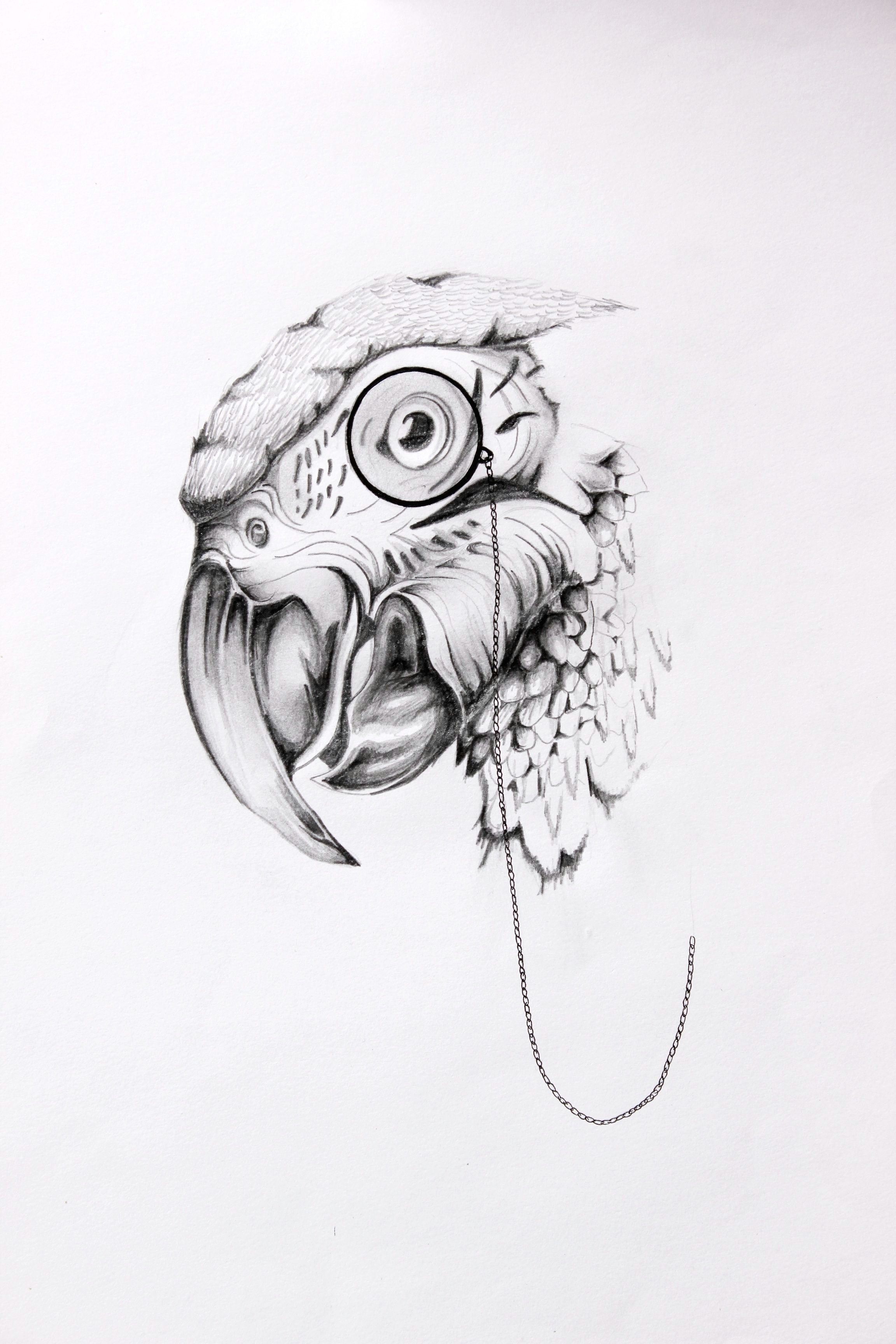 Dogfish Drawing Parrot Eye Www Beboris Co Uk Ink Illustration Artwork Illustrations