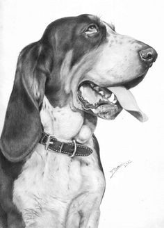 Dogs Barking Drawing 183 Best Dog Art Images Dog Art Drawings Of Dogs Pencil Drawings