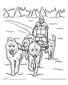 Dogs Drawing Sleds 20 Best Sled Dogs Images Sled Dogs Dog Cat Funny Dogs