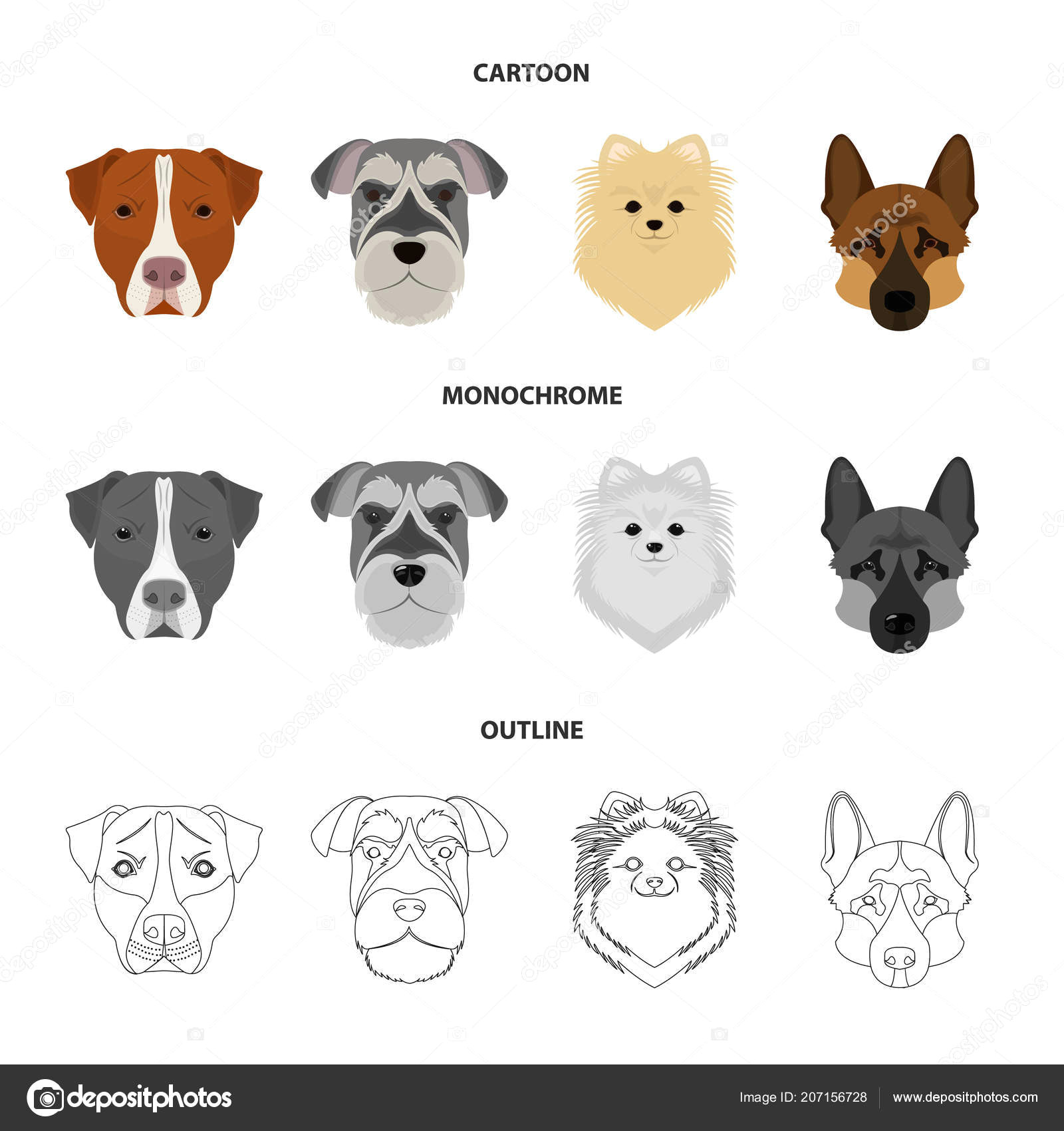 Dogs Drawing Vector Muzzle Of Different Breeds Of Dogs Dog Breed Stafford Spitz