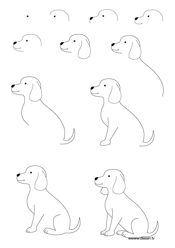 Doodle Drawing Dogs Drawing Animals Step by Step Children Coloring Pages Printable