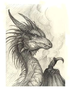 Dragon Drawing Tumblr 216 Best Dragons for Carving Images Pencil Drawings Dragon Sketch
