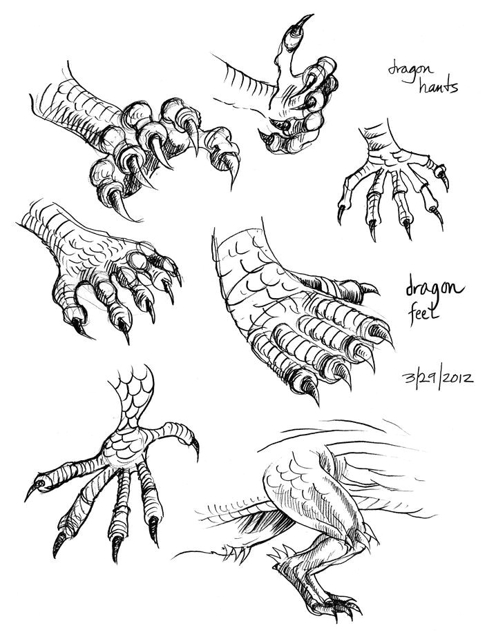 Dragon S Claw Drawing Dragon Claws Feet Text How to Draw Manga Anime How to Draw