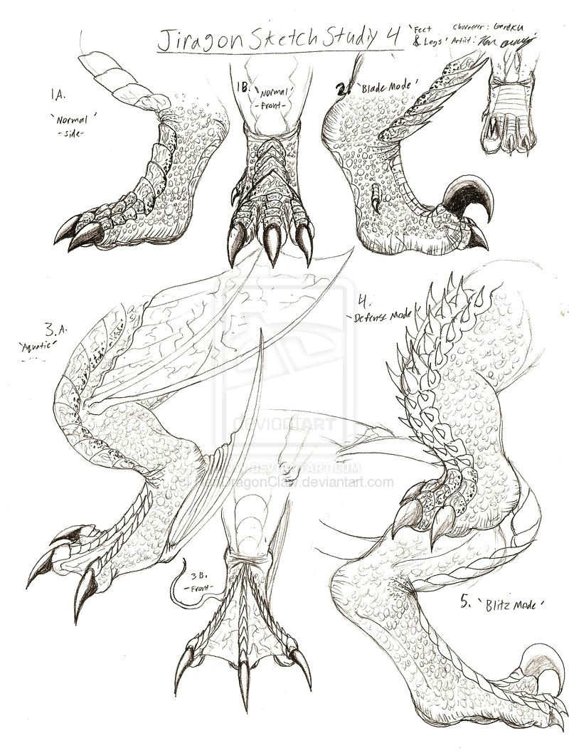 Dragon S Claw Drawing How to Draw Dragon Claws Jiragon Arm and Claw Sketches Pick Up A