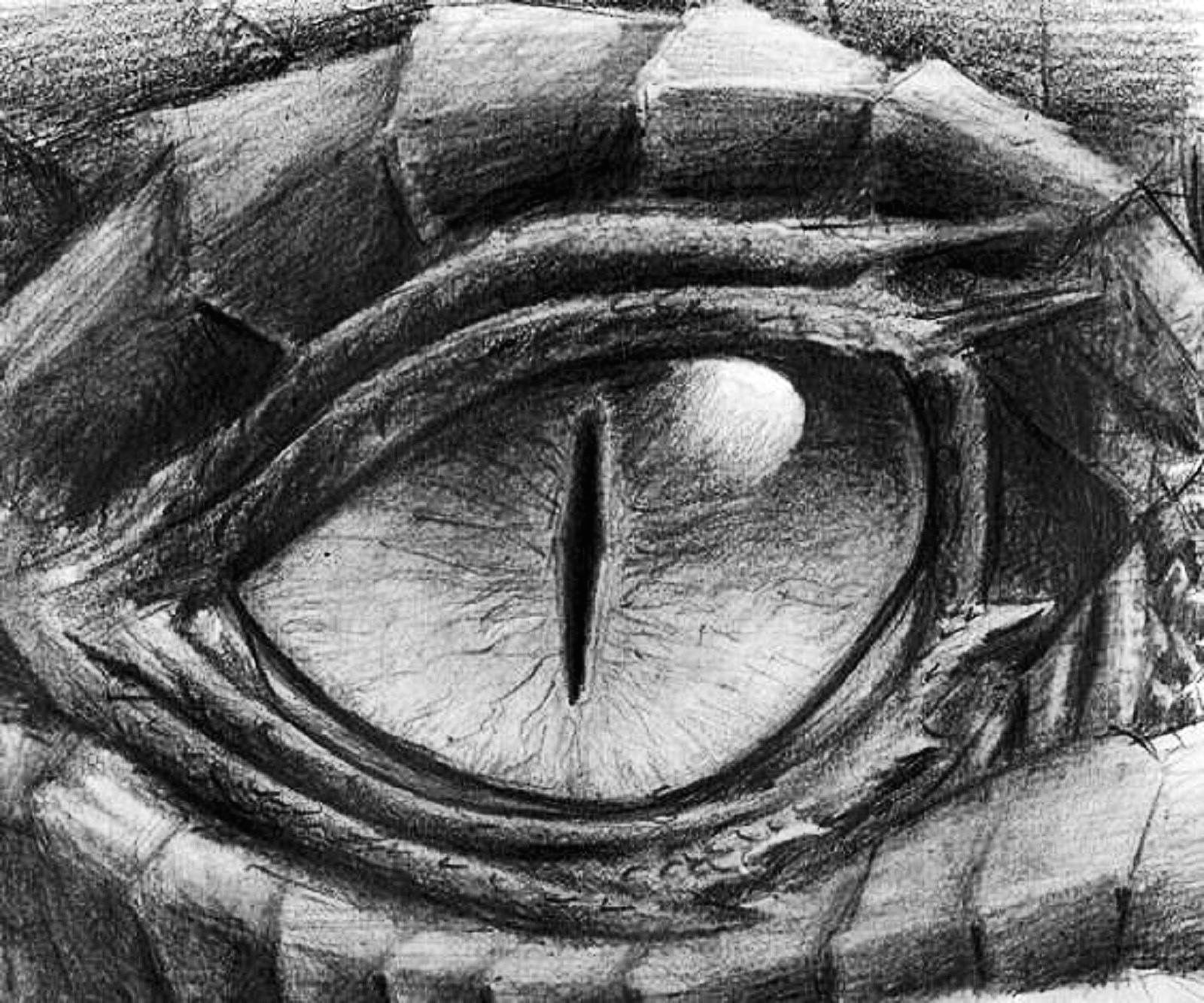 Dragon S Eye Drawing Tutorial Pin by Lindsey Patty On Drawing Drawings Dragon Dragon Eye